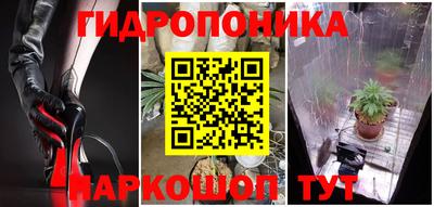 стаф Балаково