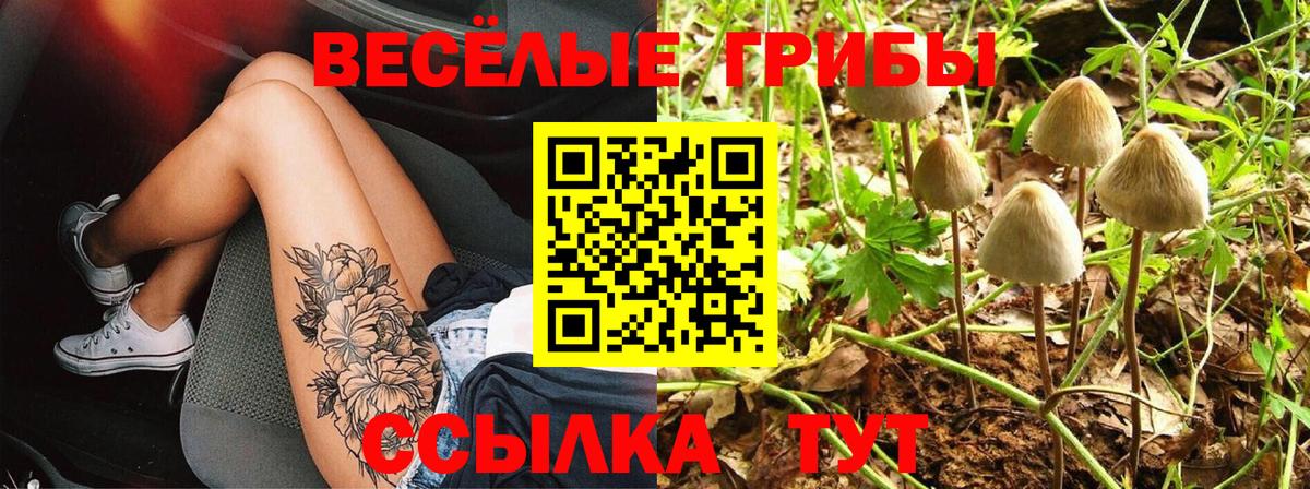 Псилоцибиновые грибы Magic Shrooms Волгоград