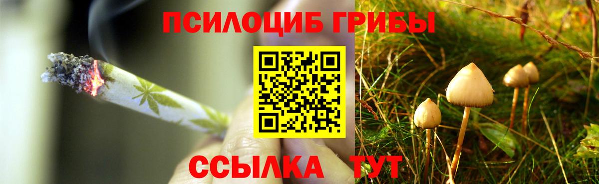 Псилоцибиновые грибы GOLDEN TEACHER  Вход с VPN  Волгоград 